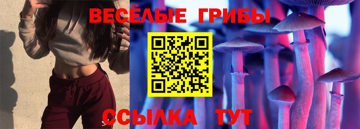 Галлюциногенные грибы Psilocybe Азнакаево